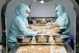 Bị Mỹ áp thuế 46%, doanh nghiệp Việt tức tốc tìm đối tác mới, sang cả Trung Đông